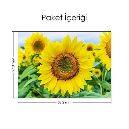 Ayçiçekleri Notebook Sticker, Laptop sticker,, Hp Sticker, Asus Sticker, 15.6 inç Sticker
