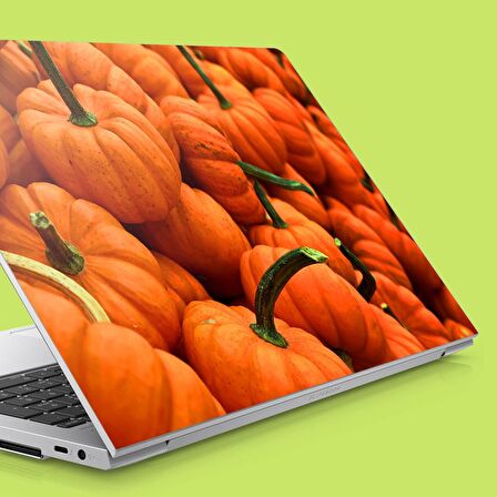 Balkabakları Notebook Sticker, Laptop sticker,, Hp Sticker, Asus Sticker, 15.6 inç Sticker