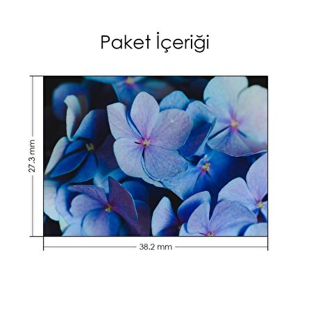 Lila Ortanca Çiçekleri Notebook Sticker, Laptop sticker,, Hp Sticker, Asus Sticker, 15.6 inç Sticker