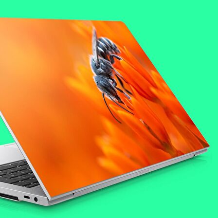 Çiçekte Balarısı Notebook Sticker, Laptop sticker,, Hp Sticker, Asus Sticker, 15.6 inç Sticker