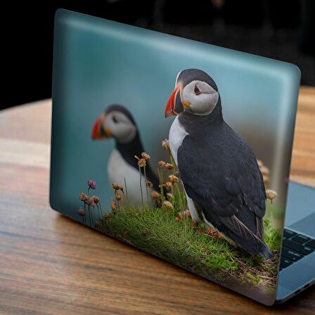 İki Puffin Kuşu Notebook Sticker, Laptop sticker,, Hp Sticker, Asus Sticker, 15.6 inç Sticker