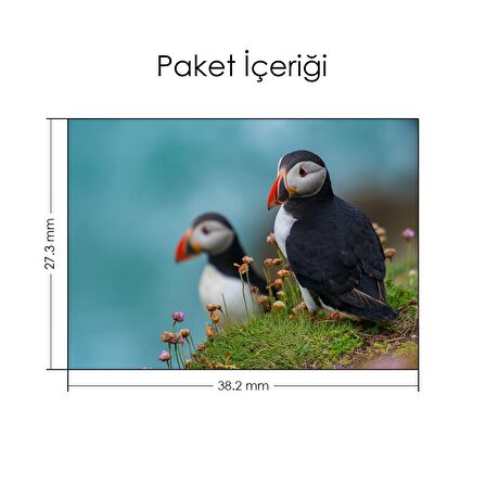 İki Puffin Kuşu Notebook Sticker, Laptop sticker,, Hp Sticker, Asus Sticker, 15.6 inç Sticker