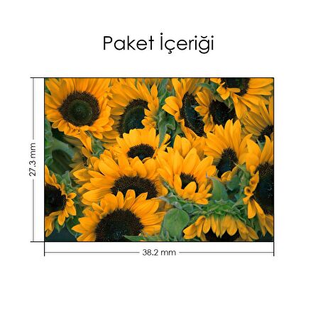 Ayçiçeği Tarlası Notebook Sticker, Laptop sticker,, Hp Sticker, Asus Sticker, 15.6 inç Sticker