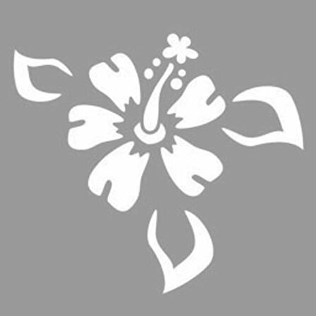 Yapraklı Hibisküs Stencil Boyama şablonu 30x30cm,Duvar Stencil,Fayans Stencil,Mobilya Stencil