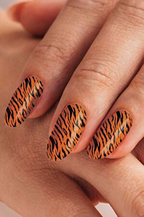 Renkli Zebra Tırnak Dövmesi,Tırnak Tattoo,Nail Art ,Tırnak Sticker