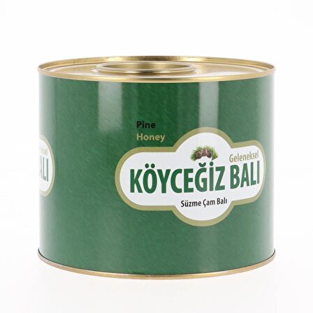 Köyceğiz Balı Çam Balı 2850 G Teneke