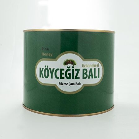 Köyceğiz Balı Çam Balı 2850 G Teneke