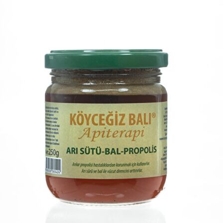 Köyceğiz Balı Arı Sütü Bal Propolis Karışımı 250 G