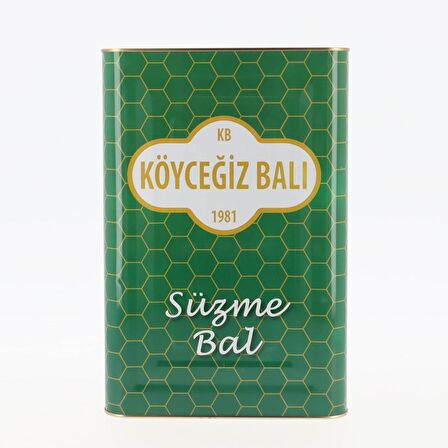 Köyceğiz Balı Çam Balı 26,50 Kg Teneke