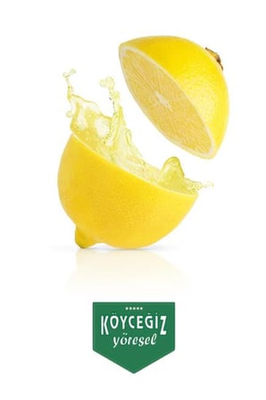 Kb Köyceğiz Yöresel Köyceğiz Limonu 1 KG