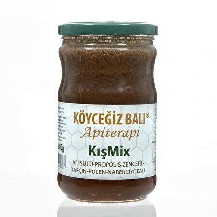 Köyceğiz Balı KışMix 800 G Cam Kavanoz