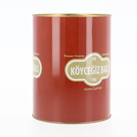 Köyceğiz Balı Çiçek Balı 4850 G Teneke