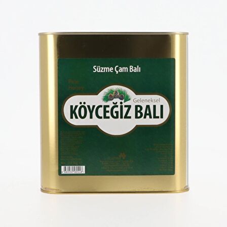 Köyceğiz Balı Çam Balı 10 Kg Teneke