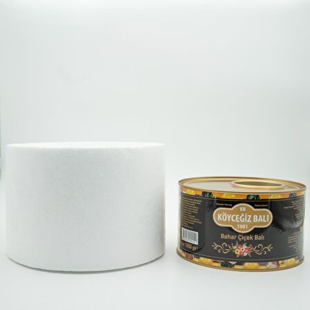 Köyceğiz Balı Bahar Çiçek Balı 1850 G Teneke