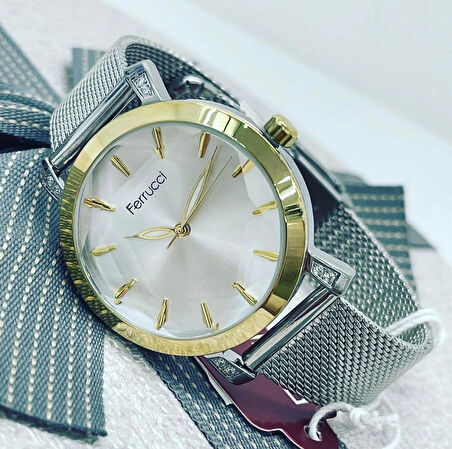 Ferrucci Silver Çelik Şık Kadın Kol Saati+%100 Çelik Kolye Hediye
