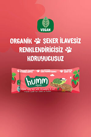 Humm Organic Organik Vegan Çilekli ve Fındıklı Yulaf Bar - 27 G X 12 adet