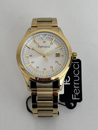 FERRUCCİ ERKEK KOL SAATİ ÇELİK KASA 30 METRE SUYA DAYANIKLI