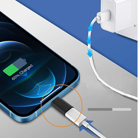 Nettech Micro USB To Type-C Dönüştürücü (Siyah)