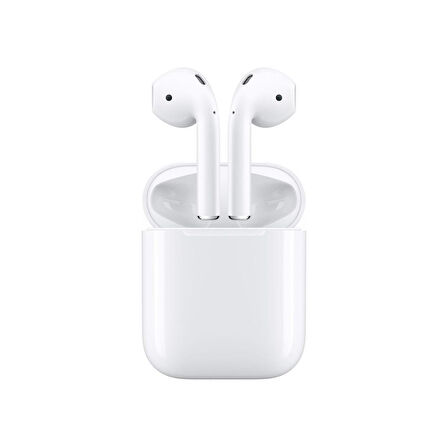 Nettech NT-BTH11 AirPods Spor Bluetooth Kulaklık