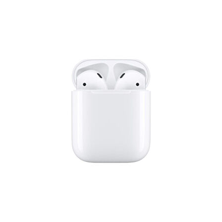 Nettech NT-BTH11 AirPods Spor Bluetooth Kulaklık