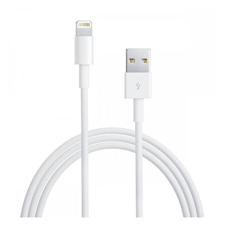 Nettech NT-DC09 2.4A Plastik 200 Cm Lightning Şarj ve Data Kablosu (Beyaz)