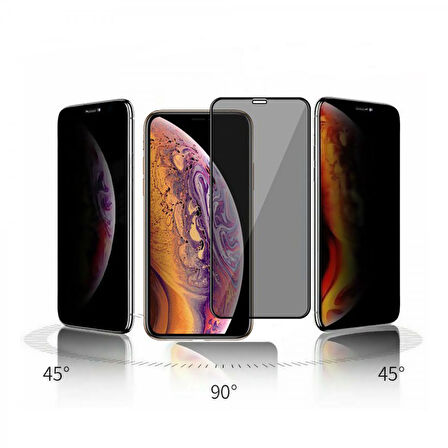 iPhone 11 Pro Max / XS Max Uyumlu Privacy Ön Koruma Temperli Hayalet Cam Ekran Koruyucu (Siyah)