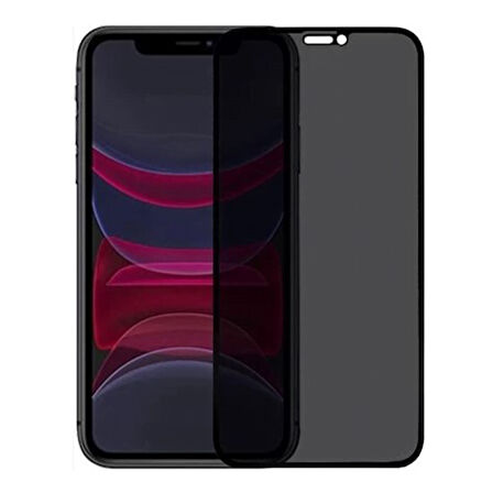 iPhone 11 / XR Kolay Uygulama Aparatlı Dust Proof Privacy Temperli Hayalet Cam Ekran Koruyucu (Siyah)