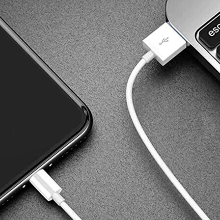 Apple Plastik 200 Cm Lightning Şarj ve Data Kablosu (Beyaz)