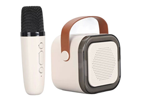 Bluetooth Hoparlör BT+TF+USB+AUX Karaoke Mikrofonlu Platoon PL-4562