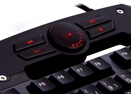 EVEREST DLK-5110 Q M.MEDYA USB OYUNCU KLAVYE,SİYAH