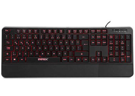 Everest KB-R61 Aydınlatmalı Q Multimedia Klavye