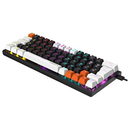 Everest Parley Siyah/Beyaz Blue Switch Mekanik Oyuncu Klavyesi Türkçe 