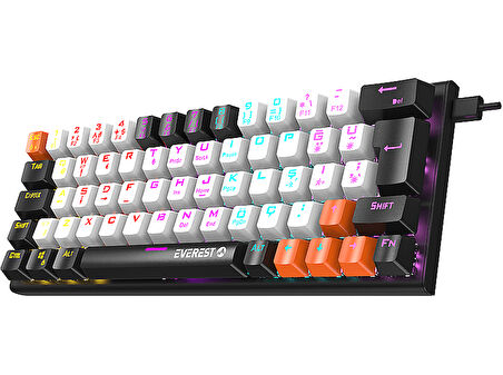 EVEREST Parley Rainbow Aydınlatmalı Türkçe Q Red Switch Mekanik  Klavyesi Siyah Beyaz