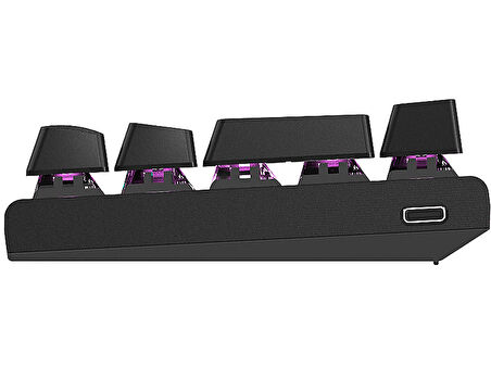 EVEREST Parley Rainbow Aydınlatmalı Türkçe Q Red Switch Mekanik  Klavyesi Siyah Beyaz