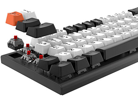 EVEREST Parley Rainbow Aydınlatmalı Türkçe Q Red Switch Mekanik  Klavyesi Siyah Beyaz