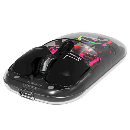 Everest SM-BT89 OPAL Şarj Edilebilir Sessiz Siyah Transparan RGB 2in1 2BT ve 2.4GHz Kablosuz Mouse