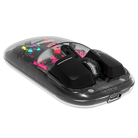 Everest SM-BT89 OPAL Şarj Edilebilir Sessiz Siyah Transparan RGB 2in1 2BT ve 2.4GHz Kablosuz Mouse