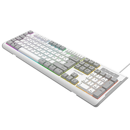 Everest KB-74 USB Rainbow Aydınlatmalı Q Membrane Multıemdya Gaming Oyuncu Klavyesi (Beyaz Gri)