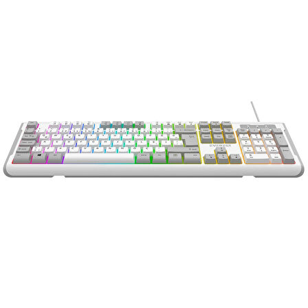 Everest KB-74 USB Rainbow Aydınlatmalı Q Membrane Multıemdya Gaming Oyuncu Klavyesi (Beyaz Gri)