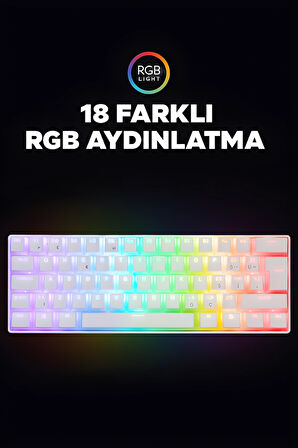 Brıar Type-C Bağlantılı RGB Puding Tuşlu Mekanik Red Switch Türkçe Q Gaming Oyuncu Klavyesi Beyaz