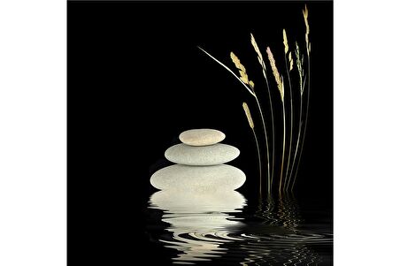 Spa Taşları Papatya ve Orkide Doğal Taş Bardak Altlığı 4'lü set - Natural Stone Coasters
