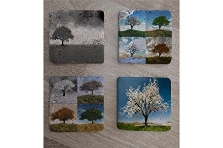 Dört Mevsim Ağaçlar Doğal Taş Bardak Altlığı 4'lü set - Natural Stone Coasters