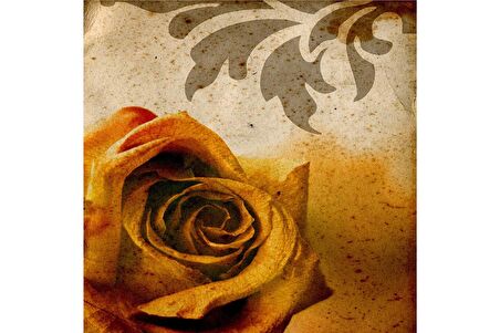 Sarı Gül ve Çiçekler Doğal Taş Bardak Altlığı 4'lü set - Natural Stone Coasters