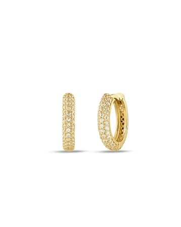 Debora Jewelry 14 Ayar Altın Halka Taşlı Küpe