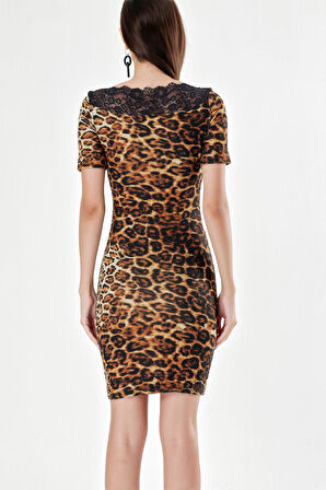 Leopar Dantel detaylı dar kesim kısa elbise 91140 | 42