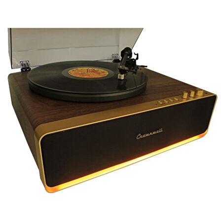 Pikap Vegas Plus Gold Led Panel Ahşap Plakçalar CW016