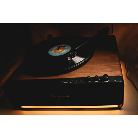 Pikap Vegas Plus Black Led Panel Ahşap Plakçalar CW017