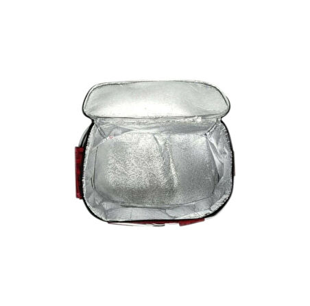 Thermo  Piknik Çantası