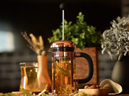 Taşev Holmes French Press 350ml T2770