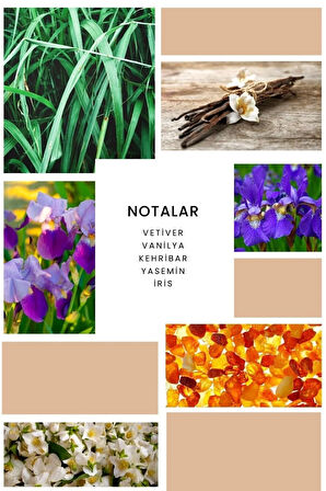 K024 Dignity Kadın Parfümü 50 ml Edp